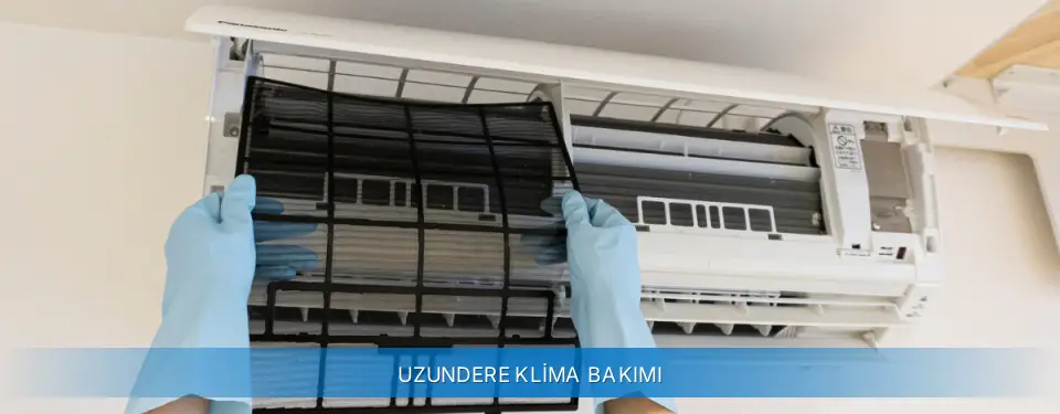 Uzundere İlçemi Carrier Klima Bakımı